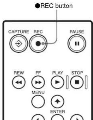 ●REC button CAPTURE REC PAUSE REW FF PLAY STOP MENU ENTER