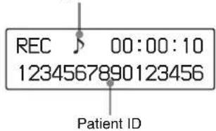 REC 00:00:10 1234567890123456 Patient ID