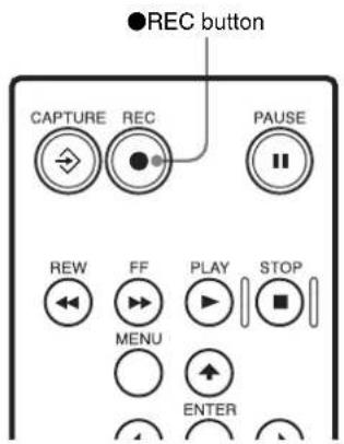 REC button. CAPTURE REC PAUSE. REW FF PLAY STOP. MENU. ENTER.