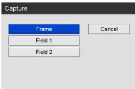 Capture Frame Field 1 Field 2 Cancel