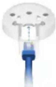 Close-up of a light bulb with a blue handle and white circular top (no visible text or symbols)