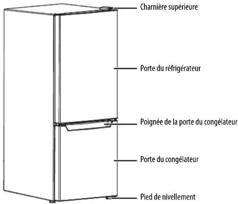 Charnière supérieure Porte du réfrigérateur Poignée de la porte du congélateur Porte du congélateur Pied de nivellement