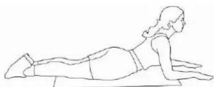 Klarfit Ellifit Basic 20 - UPPER ABDOMINALS STRETH - 1
