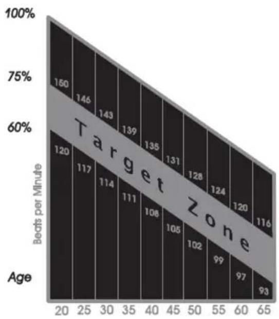 Horizon Fitness B30 - TARGET HEART RATE ZONE - 1
