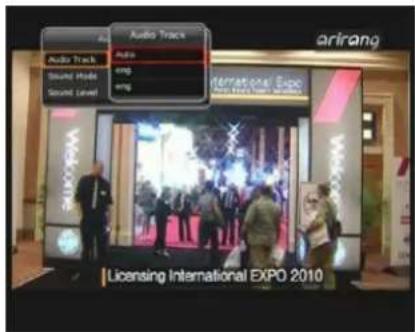 Audio Track Audio Sound Mode wng Sound Level arirang International Expo Licensing International EXPO 2010