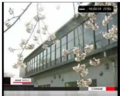 Exterior view of a modern building with glass windows and cherry blossoms in the foreground (no signage or text visible)