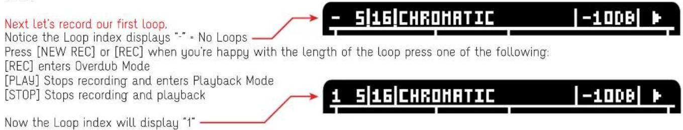 Next let's record our first loop. Notice the Loop index displays "-" - No Loops Press [NEW REC] or [REC] when you're happy with the length of the loop press one of the following: [REC] enters Overdub Mode [PLAY] Stops recording and enters Playback Mode [STOP] Stops recording and playback Now the Loop index will display "1"