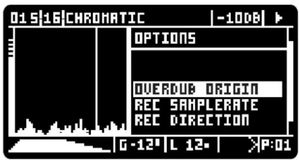 01516 CHROMATIC -10DB OPTIONS OVERDUB ORIGIN REC SAMPLERATE REC DIRECTION G -12' L 12* P:01