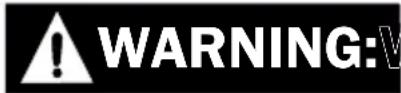 Simpson TM2810241E - Starting the Engine - 7