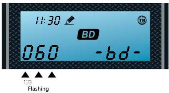 11:30 BD 060 -bd- 123 Flashing