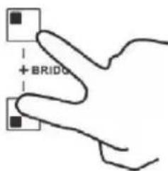 + BRIDO
