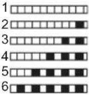 NEW POL NWD605DX - Test Strip - 6