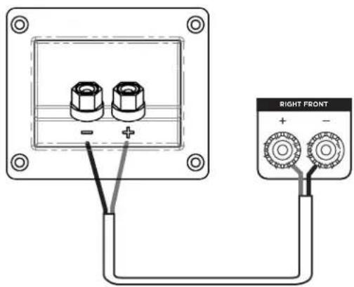 RIGHT FRONT + -