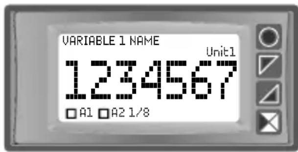 VARIABLE 1 NAME Unit1 1234567 □A1 □A2 1/8