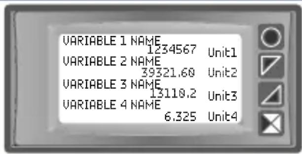 VARIABLE 1 NAME 1234567 Unit1 VARIABLE 2 NAME 39321.60 Unit2 VARIABLE 3 NAME 13110.2 Unit3 VARIABLE 4 NAME 6.325 Unit4