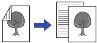 graph LR A["File Icon"] --> B["Document Icon"] style A fill:#f9f,stroke:#333 style B fill:#bbf,stroke:#333