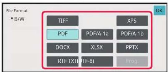 File Format • B/W TIFF PDF DOCX RTF TXT (UTF-8) XPS PDF/A-1a XLSX PDF/A-1b PPTX Prog. OK