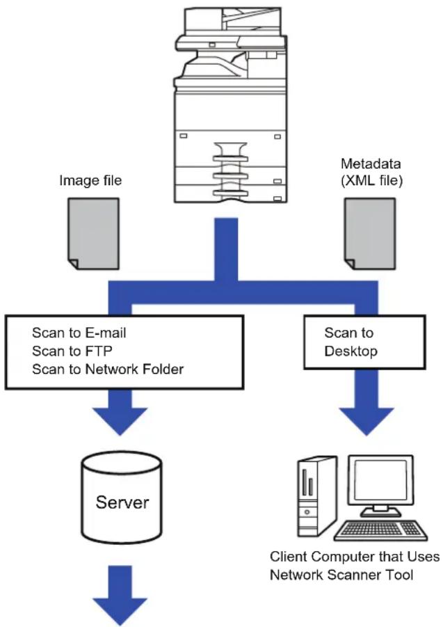 graph TD A["Server"] --> B["Scan to E-mail\nScan to FTP\nScan to Network Folder"] A --> C["Scan to Desktop"] D["Client Computer that Uses\nNetwork Scanner Tool"] --> C E["Image file"] --> A F["Metadata (XML file)"] --> C