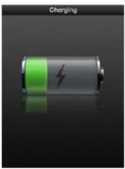 Battery icon with green and black lightning bolt symbol, labeled 'Charging' (no additional text or symbols)