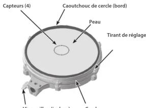Capteurs (4) Caoutchouc de cercle (bord) Peau Tirant de réglage Vis-papillon (incluse) Cercle