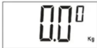 0,0° 0,0 kg