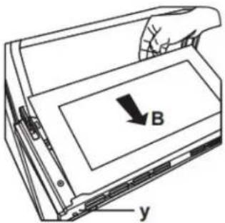 B y