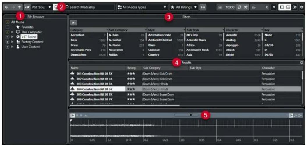 STEINBERG Cubase AI 12 - Fenêtre de la MediaBay - 1
