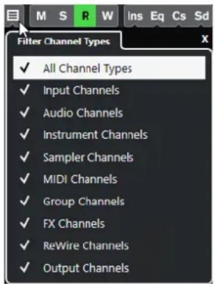 STEINBERG Cubase AI 12 - Cliquez sur Définir le filtre de type de voie. - 1