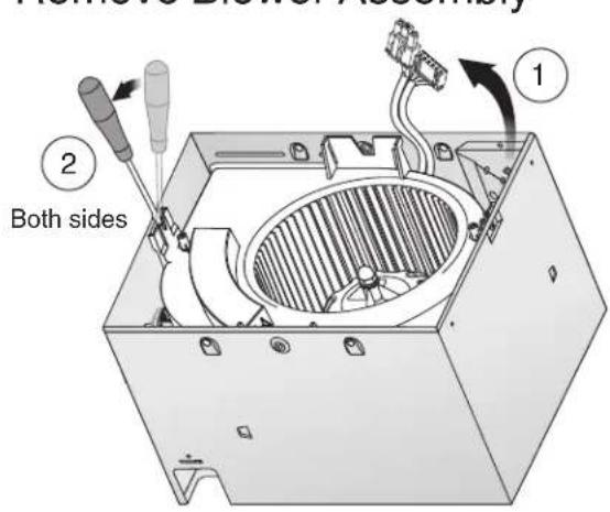 Remove Director Assembly ① ② Both sides