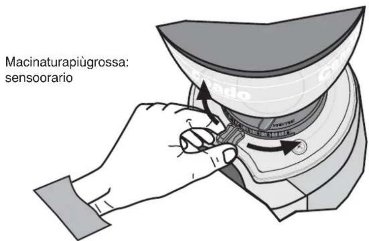 Macinaturapiùgrossa: sensoorario