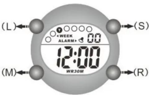(L) < WEEK ALARM> 12:00 WR30M (S) (M) (R)