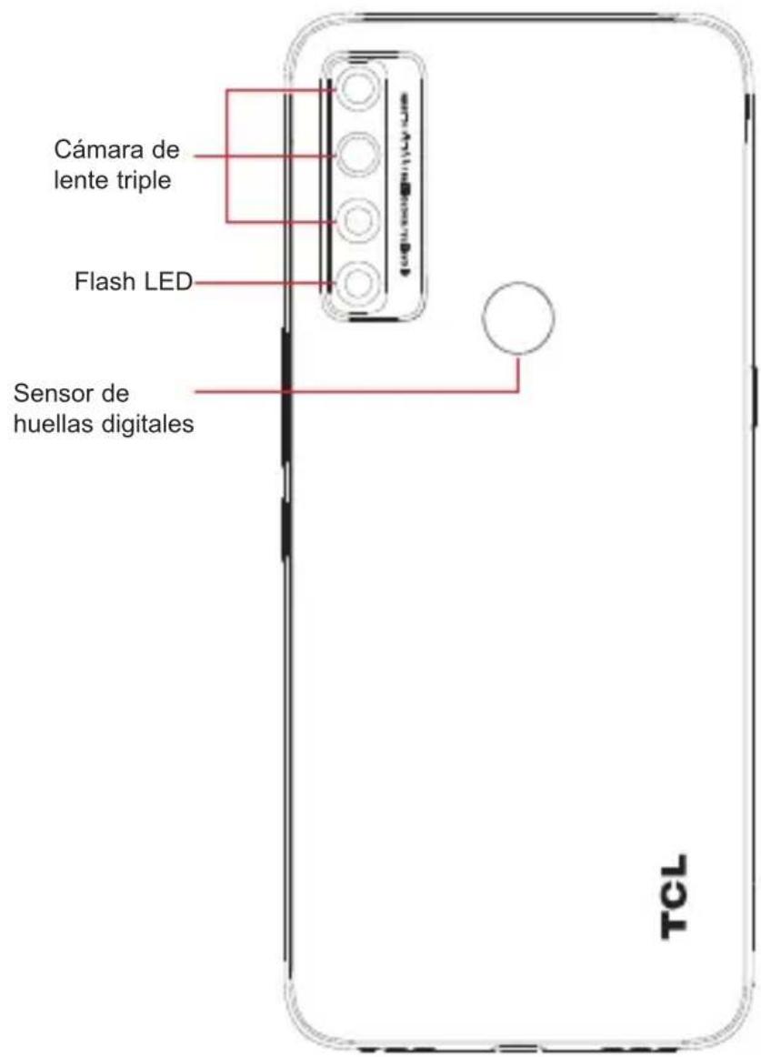 Cámara de lente triple Flash LED Sensor de huellas digitales TCL