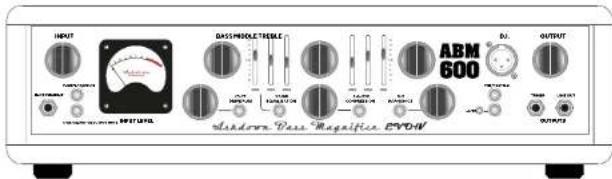 INPUT DASSPROELECTRIC ABM 600 BJ. OUTPUT SHORES BASS MAGALIFICA EVOH