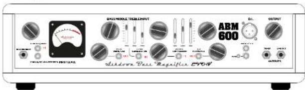 GASS PULSE TRACKINPUT ABM 600 Output Shannon Peak Magnifier EPDM OUTDO