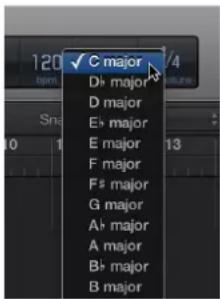 C major D major D major E major E major F major F major G major A major A major B major B major