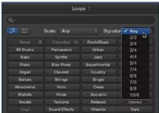 Loops: Scale: Any Signature: ✓ Any 2/2 2/4 3/4 4/4 5/4 7/4 6/8 7/8 9/8 12/8 Random Random Effects Cheerful Dark