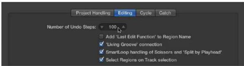 Project Handling, Editing, Cycle, Catch. Number of Undo Steps: 100. Add 'Last Edit Function' to Region Name. 'Living Groove' connection. SmartLoop handling of Scissors and 'Split by Playhead'. Select Regions on Track selection.
