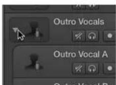 APPLE Logic Pro X - Show the subtracks for a Track Stack - 1