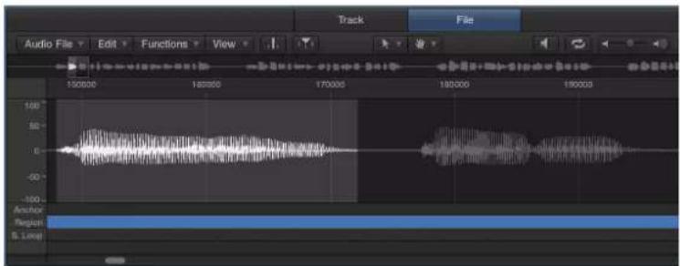 Audio File Edit Functions View. Track File. 150000 160000 170000 180000 190000. Anchor. Region. B. Locus.