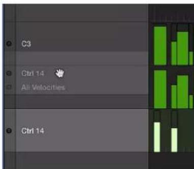 C3 Ctrl 14 All Velocities Ctrl 14