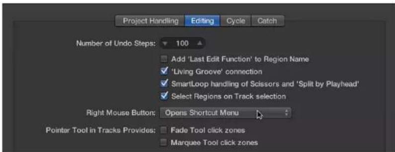 Project Handling, Editing, Cycle, Catch. Number of Undo Steps: 100. Add 'Last Edit Function' to Region Name. 'Living Groove' connection. SmartLoop handling of Scissors and 'Split by Playhead'. Select Regions on Track selection. Right Mouse Button: Opens Shortcut Menu. Pointer Tool in Tracks Provides…