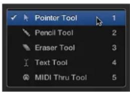 Pointer Tool Pencil Tool Eraser Tool Text Tool MIDI Thru Tool