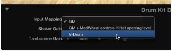 Input Mapping ✓ GM GM + ModWheel controls HiHat opening level V-Drum Shaker Gain: Tambourine Gain: 0dB