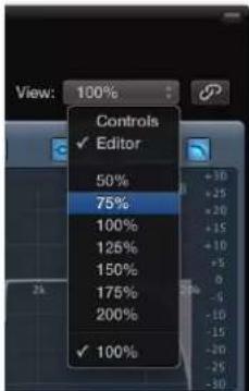 View: 100%. Controls: Editor checked. Zoom levels: 50%, 75%, 100%, 125%, 150%, 175%, 200%. Current zoom: 100%. Gain scale from +30 to -30 dB.