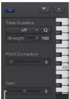 Time Quantize off Q Strength 100 Pitch Correction 0 Gain 0