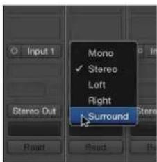 Input 1 Mono ✓ Stereo Left Right Surround
