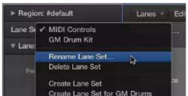 Region: #default Lane Set ✓ MIDI Controls GM Drum Kit Rename Lane Set... Delete Lane Set Create Lane Set Create Lane Set for GM Drums