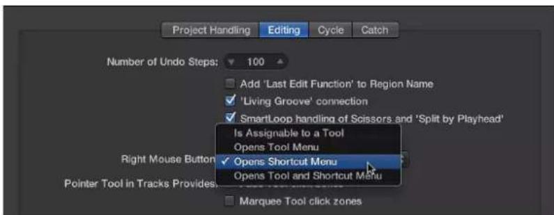 Project Handling, Editing, Cycle, Catch. Number of Undo Steps: 100. Add 'Last Edit Function' to Region Name. 'Living Groove' connection. SmartLoop handling of Scissors and 'Split by Playhead'. Is Assignable to a Tool. Opens Tool Menu. Right Mouse Button. Opens Shortcut Menu. Opens Tool and Shortcut…