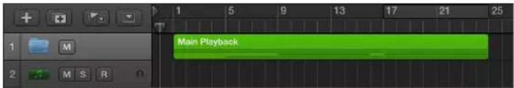 Main Playback