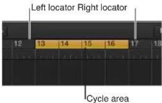 Left locator Right locator 12 13 14 15 16 17 18 Cycle area